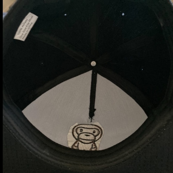 Milo - Picture 5 of 7